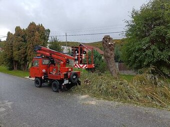 Pílenie a Orezávanie stromov
