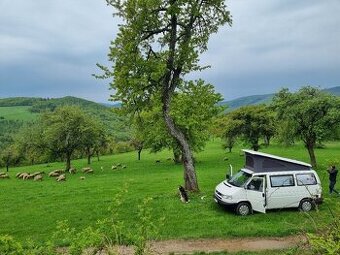 Volkswagen T4 California