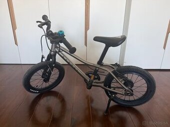 Detský bicykel Rascal 14 Titanium