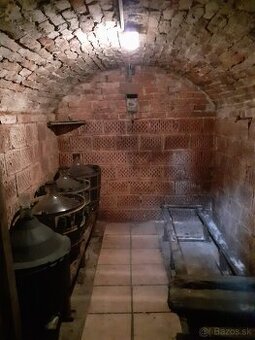 Viničný domček +vinohrad