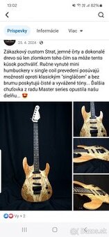 custom handmade gitara od Werne vyrobcu