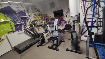 Stepper technogym a sapillo