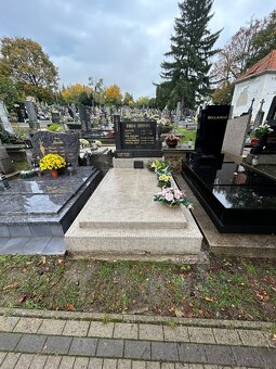 Profesionálne čistenie