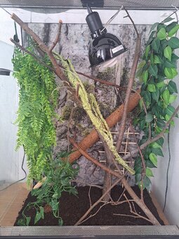 Vybavenie do terária