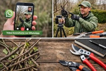 Orez stromov - online video konzultácie a návody