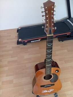 Predam 12 strunovu gitaru