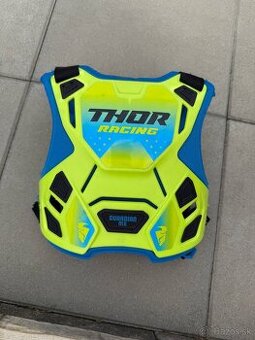 Korytnačka Thor
