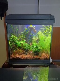 30l akvarium
