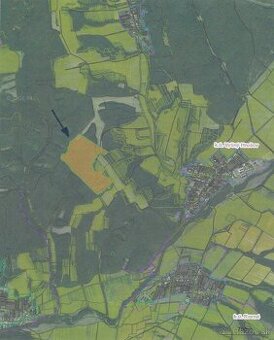 Predám Lesy a TTP v obci Vyšný Hrušov (PARCELA E 1064)