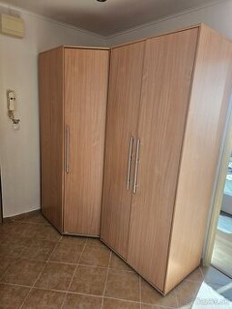 Predám nádherné zamiokulkasy 2 ks