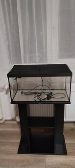 Predám akvárium 2 mesačne