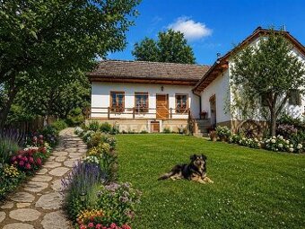 Sedliacky dom neďaleko Starej Myjavy