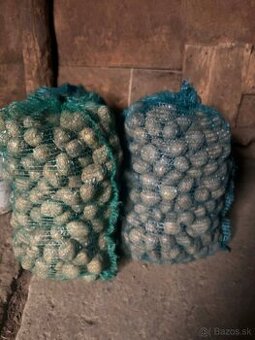 Predám sadbové zemiaky.