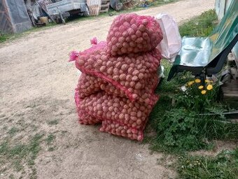 Predám sadbove zemiaky,cca250kg