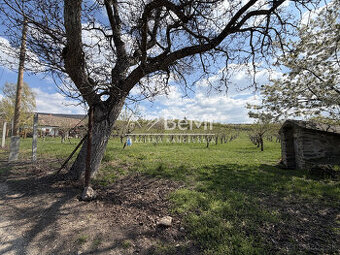 Pozemok vo výmere 4000 m2 v obci Fony za 32000,-Eur