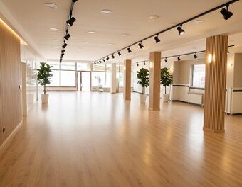 PRÍLEŽITOSŤ PRE VAŠE PODNIKANIE V SRDCI ŽILINY - 250m2