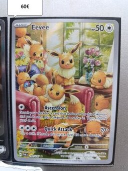 Pokémon TCG Eevee & Zoroark