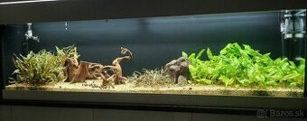 Akvárium 200×55×40