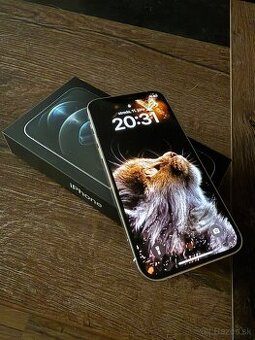 Apple iPhone 12 Pro, silver 256GB