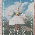 Kniha o súbore Sľuk - 1