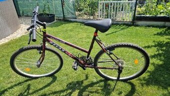 Damsky Bicykel - 1