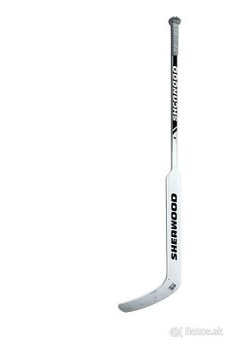 brankarska hokejka hokejbal