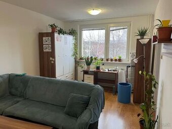 Priestranný 2-izbový byt v Stupave - 1