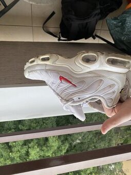 Nike air max tn