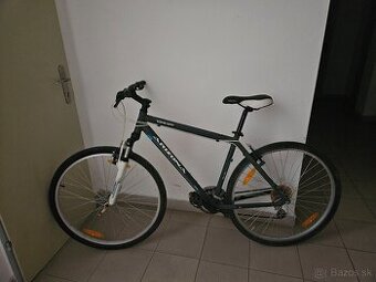 Pansky bicykel - 1