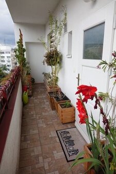 Large refurbished 1-bedroom apartment
