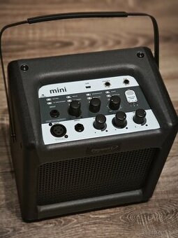 Fender passpprt mini