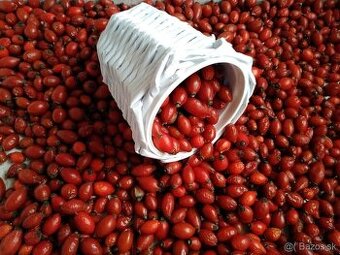 Predám Sušené šípky tohtoročné