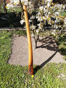 Didgeridoo