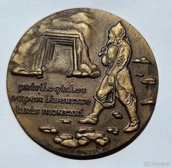 Bronzova medaila - Zlata Idka 1349 - 1979