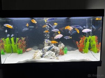 Predám akváriový komplet JUWEL 350l