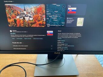 24” DELL monitor