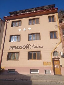 Ponúkame na predaj Penzion v Trenčianskych Tepliciach.