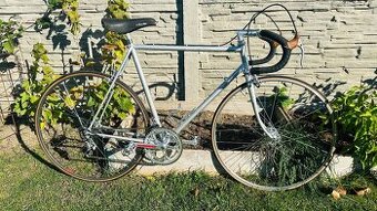 Favorit F1 special campagnolo