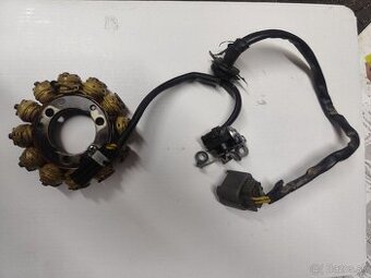 Kawasaki zapaľovanie