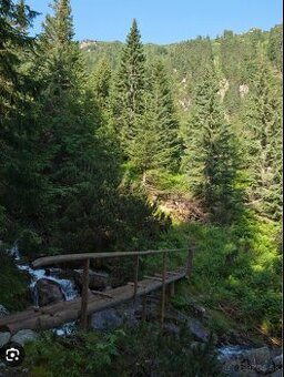 Mam záujem o hličnatý les.