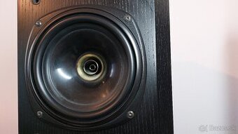 TANNOY - D100