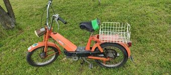Babeta 207