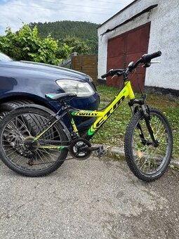 Predam ctm Willy 24” - 1