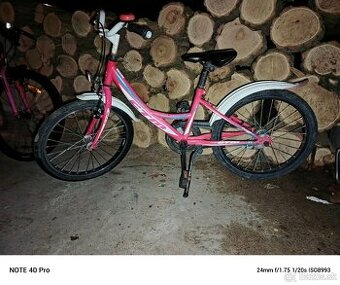 Dievčenský Bicykel  20