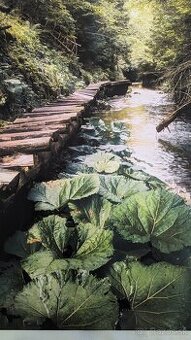 Fotoobraz zo Slovenského raja, oblasť Tomášovská Belá