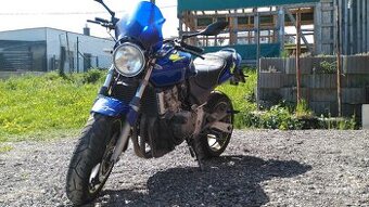 Honda Hornet