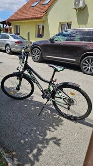 Bicykel CTM Berry 2.0