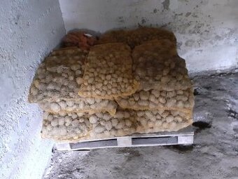 konzumne zemiaky 532 SATS/kg
