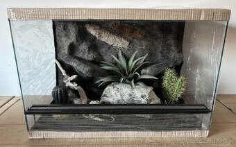 Terárium 60x40x40 s 3D stenou