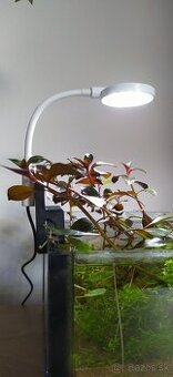 LED svetlo pre malé akvárium